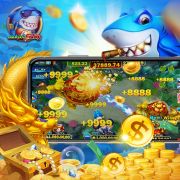 Ivibet app